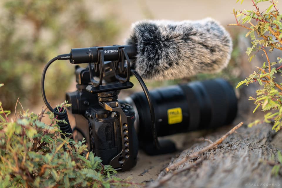 The 14 Best DSLR Microphones for Cameras in 2022 10 dslr microphone