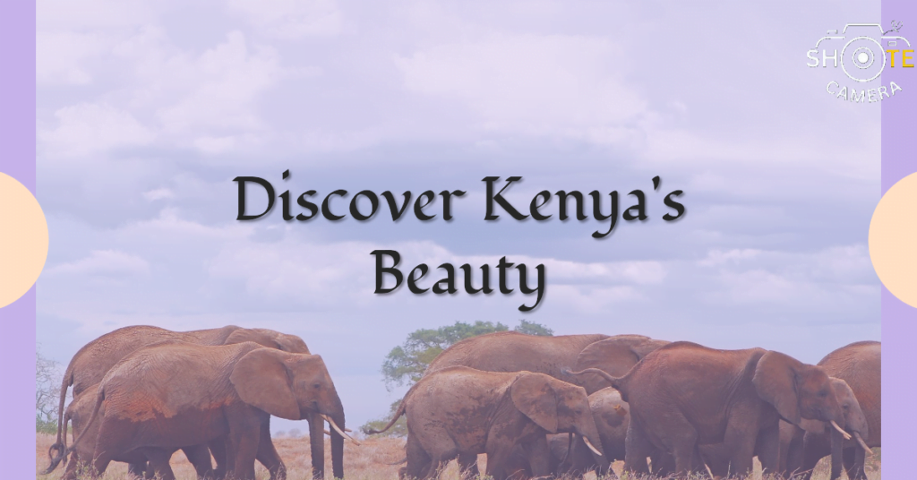 Top Travel Destinations for Photography Enthusiasts 6 Promotional image featuring a herd of elephants with the text ‘Discover Kenya’s Beauty’ overlaid in the center. The background shows a savannah landscape under a partly cloudy sky. The logo ‘SHOTECAMERA’ is visible in the top right corner, suggesting this is an advertisement or a tourism campaign for Kenya.