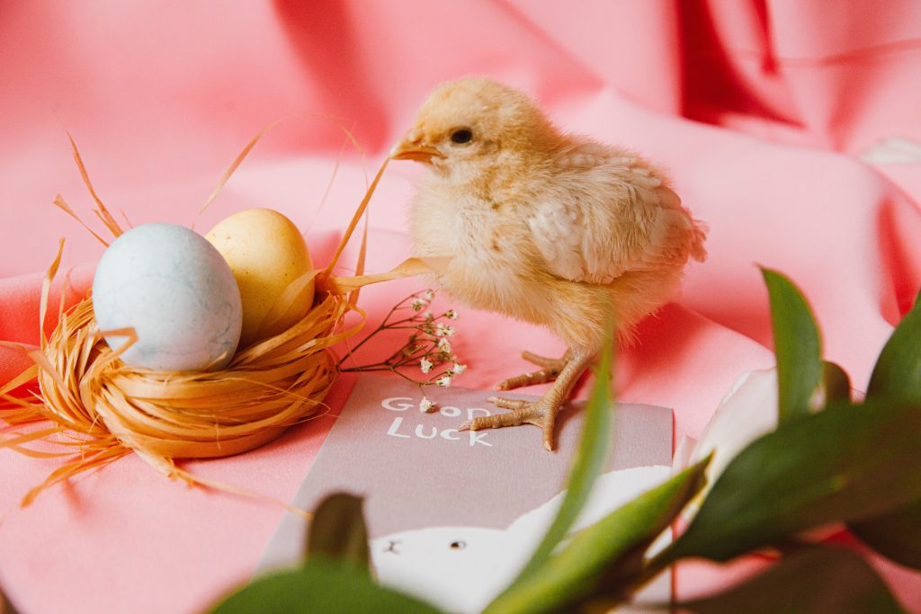 Discover the Charm of Exploring cute wallpapers for Your Device 2 cute wallpapers