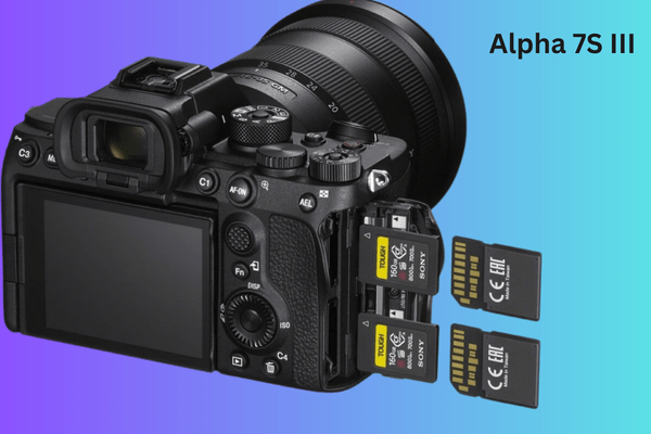 Revealing the Best Hybrid Cameras of 2024 8 Alpha 7S III