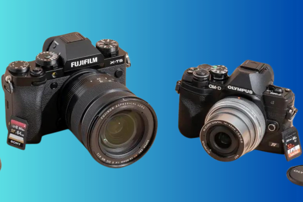 The Power of Mirrorless Cameras 2 Why Choose a Mirrorless Camera?